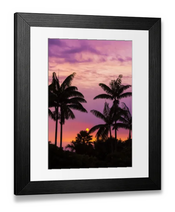Framed Print : Sunset through silhouetted palm trees, Kona Coast, The Big Island, Hawaii, USA Framed Print : Sunset through silhouetted palm trees, Kona Coast, The Big Island, Hawaii, USA