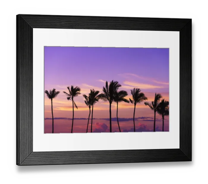 Framed Print : Sunset through silhouetted palms at Anaeho omalu Bay, Kohala Coast, Big Island Framed Print : Sunset through silhouetted palms at Anaeho omalu Bay, Kohala Coast, Big Island