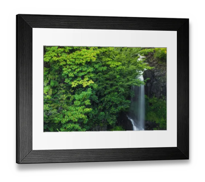 Framed Print : Waterfall on the Hamakua Coast, Big Island, Hawaii, USA Framed Print : Waterfall on the Hamakua Coast, Big Island, Hawaii, USA