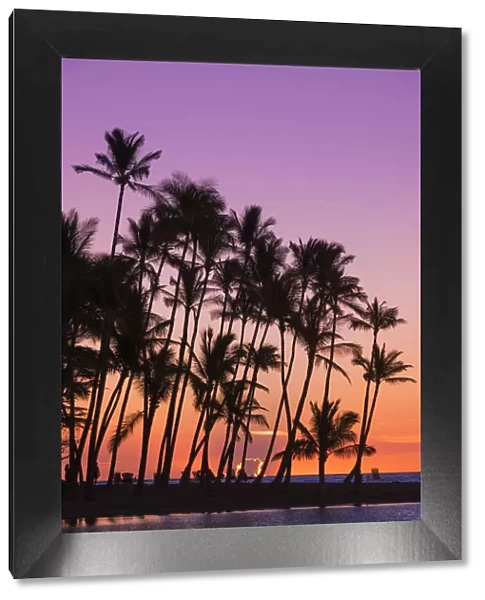 Sunset through silhouetted palms at Anaeho omalu Bay, Kohala Coast, Big Island