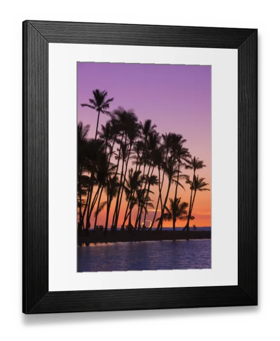 Framed Print : Sunset through silhouetted palms at Anaeho omalu Bay, Kohala Coast, Big Island