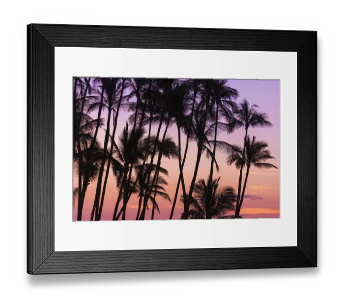 Framed Print : Sunset through silhouetted palms at Anaeho omalu Bay, Kohala Coast, Big Island Framed Print : Sunset through silhouetted palms at Anaeho omalu Bay, Kohala Coast, Big Island
