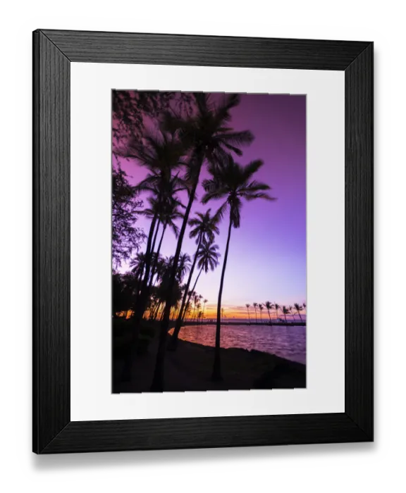 Framed Print : Sunset through silhouetted palms at Anaeho omalu Bay, Kohala Coast, Big Island