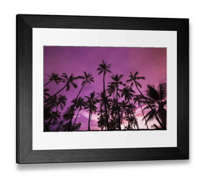 Framed Print : Palm trees at sunset, Pu uhonua O Honaunau National Historic Park (City of Refuge) Framed Print : Palm trees at sunset, Pu uhonua O Honaunau National Historic Park (City of Refuge)
