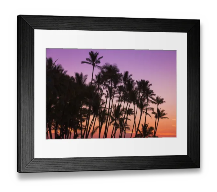Framed Print : Sunset through silhouetted palms at Anaeho omalu Bay, Kohala Coast, Big Island Framed Print : Sunset through silhouetted palms at Anaeho omalu Bay, Kohala Coast, Big Island