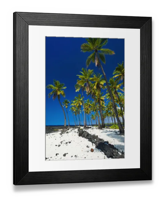 Framed Print : Coconut palms at Pu uhonua O Honaunau National Historic Park (City of Refuge) Framed Print : Coconut palms at Pu uhonua O Honaunau National Historic Park (City of Refuge)