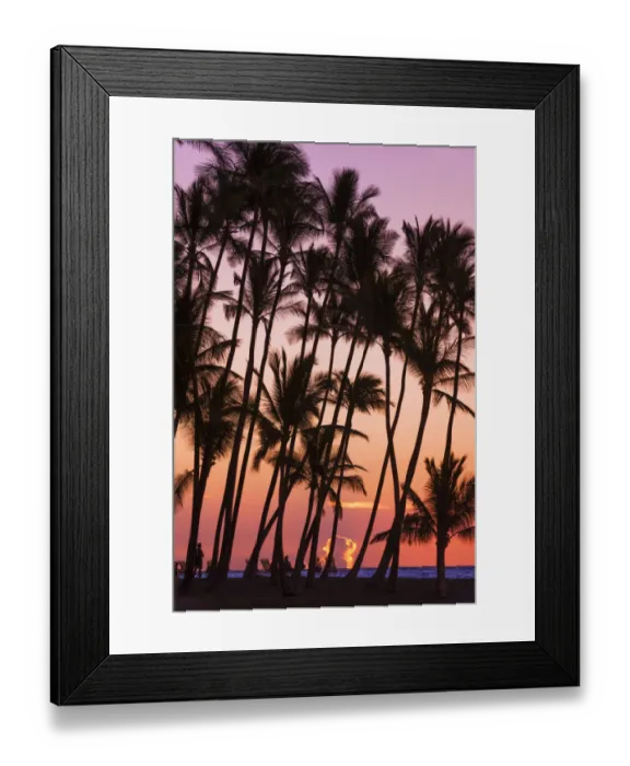 Framed Print : Sunset through silhouetted palms at Anaeho omalu Bay, Kohala Coast, Big Island Framed Print : Sunset through silhouetted palms at Anaeho omalu Bay, Kohala Coast, Big Island