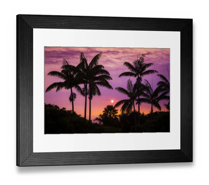 Framed Print : Sunset through silhouetted palm trees, Kona Coast, The Big Island, Hawaii, USA Framed Print : Sunset through silhouetted palm trees, Kona Coast, The Big Island, Hawaii, USA