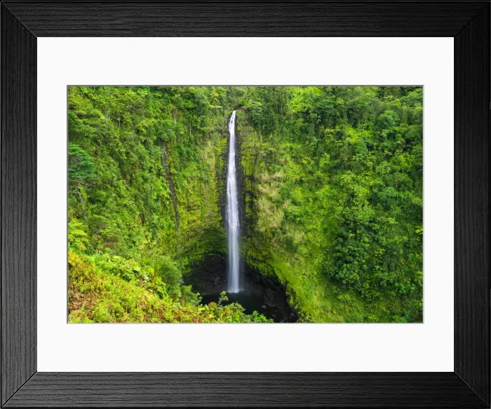 Framed Print : Akaka Falls, Akaka Falls State Park, Hamakua Coast, The Big Island, Hawaii, USA Framed Print : Akaka Falls, Akaka Falls State Park, Hamakua Coast, The Big Island, Hawaii, USA