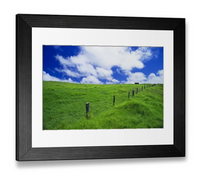 Framed Print : Green pasture and fence at Parker Ranch, The Big Island, Hawaii, USA Framed Print : Green pasture and fence at Parker Ranch, The Big Island, Hawaii, USA