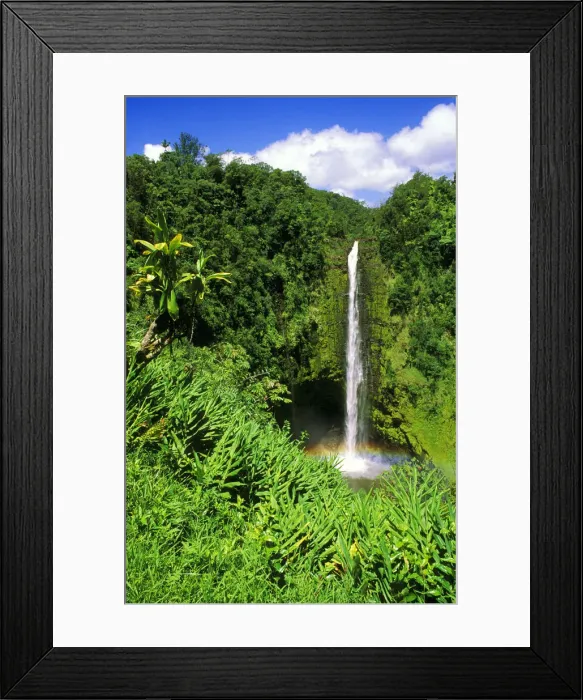 Framed Print : Lush vegetation framing Akaka Falls, Akaka Falls State Park, The Big Island, Hawaii, USA Framed Print : Lush vegetation framing Akaka Falls, Akaka Falls State Park, The Big Island, Hawaii, USA
