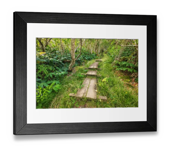Framed Print : Boardwalk on the Alakai Swamp Trail, Kokee State Park, Kauai, Hawaii, USA Framed Print : Boardwalk on the Alakai Swamp Trail, Kokee State Park, Kauai, Hawaii, USA