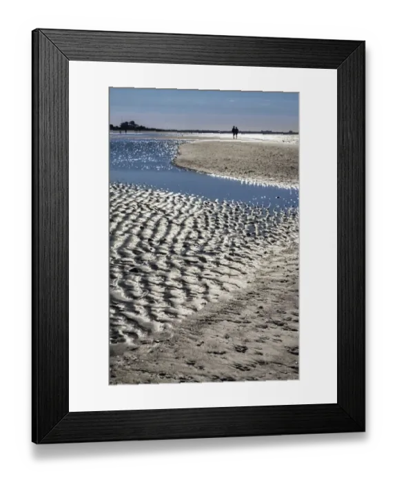 Framed Print : Beach at low tide, Honeymoon Island State Park, Dunedin, Florida, USA