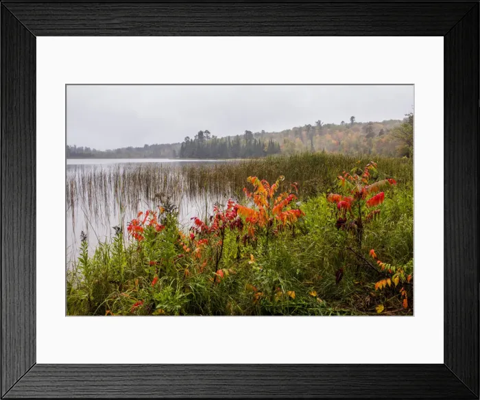 Framed Print : USA, Minnesota, Itasca State Park