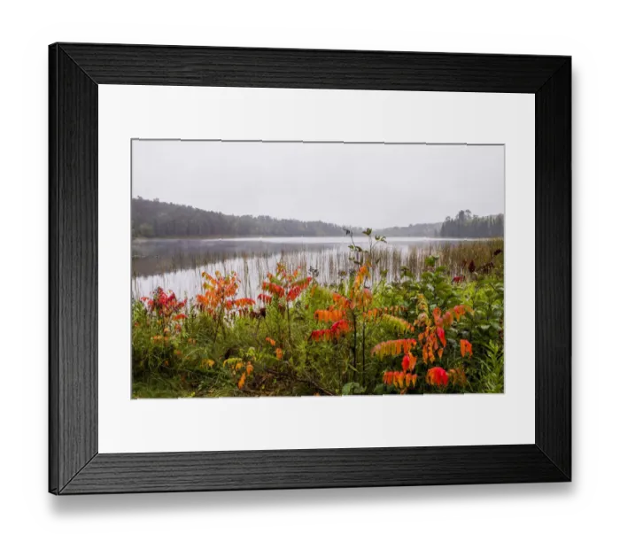Framed Print : USA, Minnesota, Itasca State Park Framed Print : USA, Minnesota, Itasca State Park