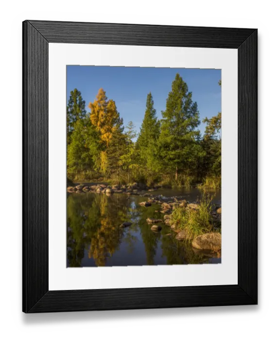 Framed Print : USA, Minnesota, Itasca State Park Framed Print : USA, Minnesota, Itasca State Park