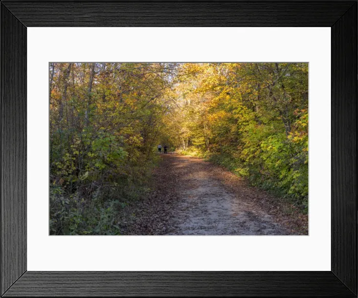 Framed Print : USA, Minnesota, Itasca State Park