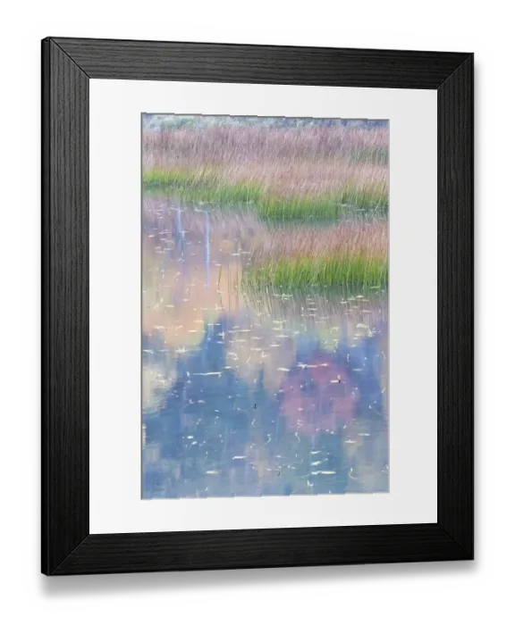 Framed Print : USA, Maine. Grasses and lily pads with reflections, the Tarn. Acadia National Park Framed Print : USA, Maine. Grasses and lily pads with reflections, the Tarn. Acadia National Park