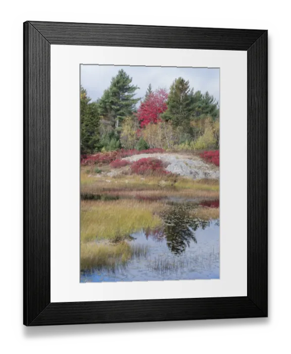 Framed Print : USA, Maine. New Mills Meadow Pond, Acadia National Park Framed Print : USA, Maine. New Mills Meadow Pond, Acadia National Park