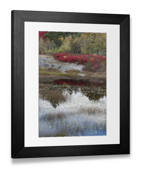 Framed Print : USA, Maine. New Mills Meadow Pond, Acadia National Park Framed Print : USA, Maine. New Mills Meadow Pond, Acadia National Park