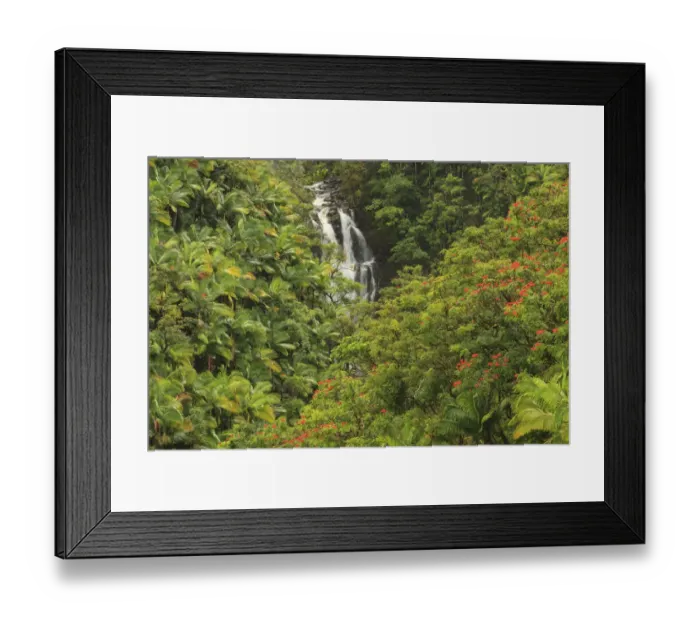 Framed Print : Area around Nanue Falls and stream, Hakalau, Hamakua Coast, Big Island, Hawaii Framed Print : Area around Nanue Falls and stream, Hakalau, Hamakua Coast, Big Island, Hawaii