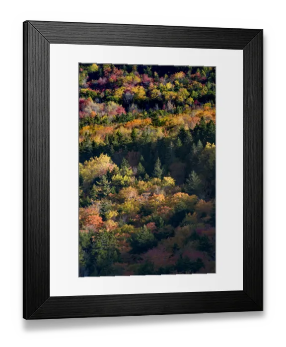 Framed Print : USA, Maine. Autumn foliage viewed from atop The Bubbles near Jordan Pond, Acadia National Park Framed Print : USA, Maine. Autumn foliage viewed from atop The Bubbles near Jordan Pond, Acadia National Park