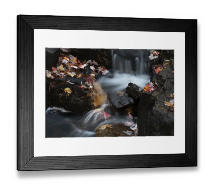 Framed Print : USA, Maine. Autumn leaves along small waterfall on Duck Brook, Acadia National Park Framed Print : USA, Maine. Autumn leaves along small waterfall on Duck Brook, Acadia National Park