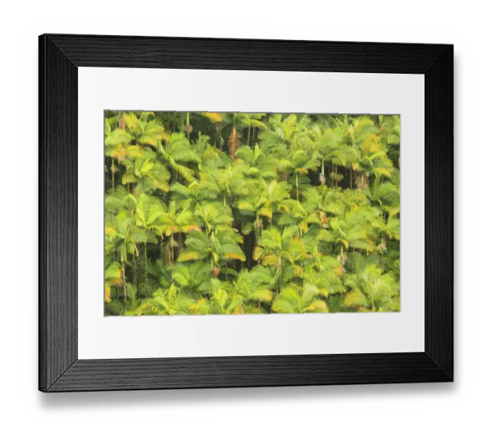 Framed Print : Area around Nanue Falls and stream, Hakalau, Hamakua Coast, Big Island, Hawaii