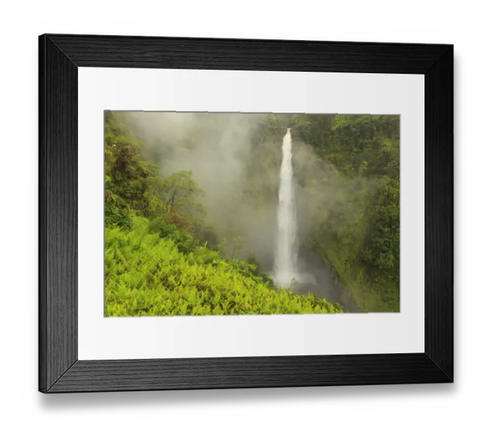 Framed Print : Akaka Falls, 442 feet high, Akaka Falls State Park, Hamakua Coast, Big Island, Hawaii Framed Print : Akaka Falls, 442 feet high, Akaka Falls State Park, Hamakua Coast, Big Island, Hawaii