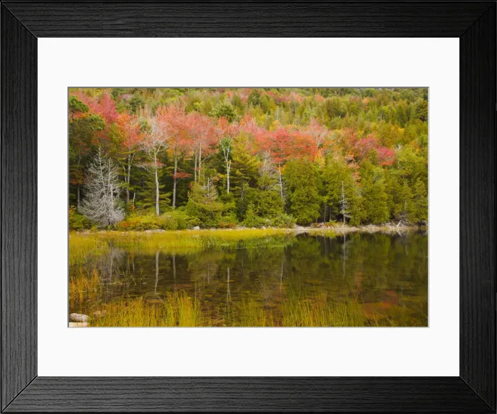 Framed Print : USA, Maine. Acadia National Park, reflections in the fall at Bubble Pond