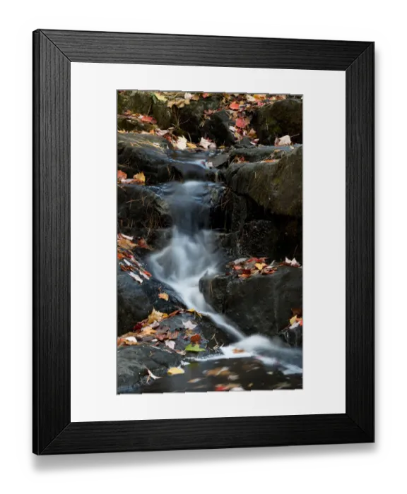 Framed Print : USA, Maine. Autumn leaves along small waterfall on Duck Brook, Acadia National Park
