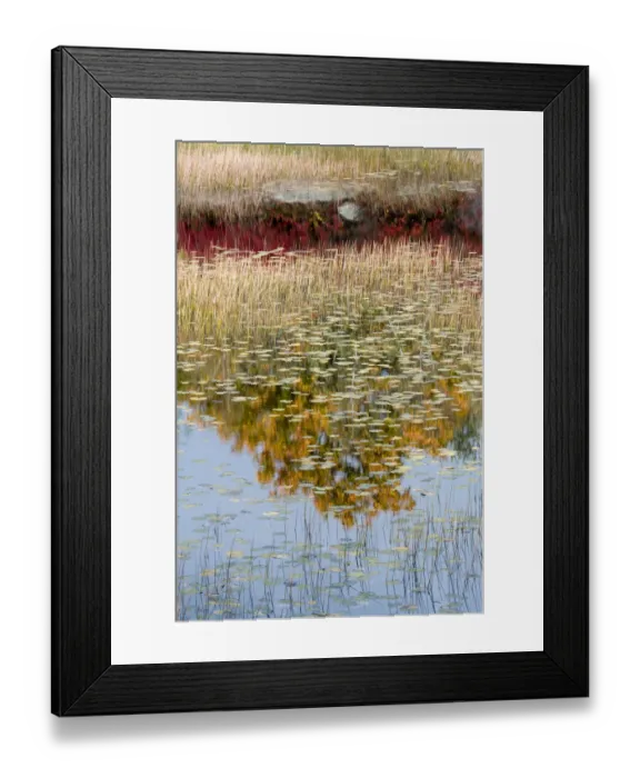 Framed Print : USA, Maine. New Mills Meadow Pond, Acadia National Park