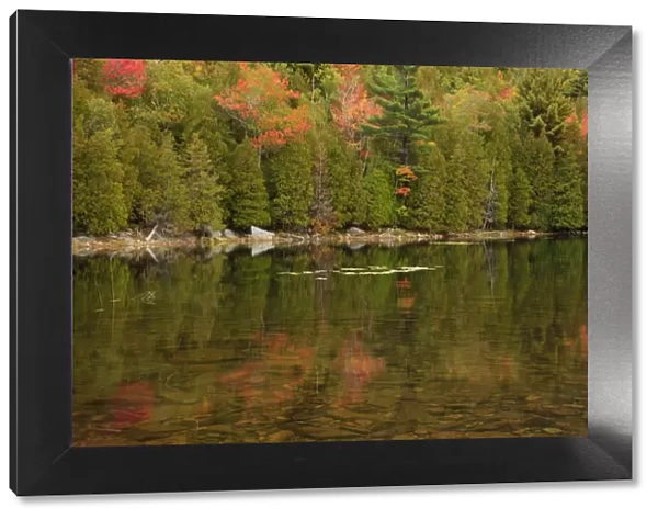 USA, Maine. Acadia National Park, reflections in the fall at Bubble Pond