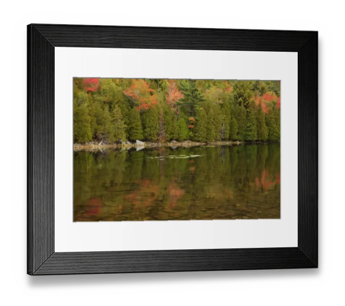 Framed Print : USA, Maine. Acadia National Park, reflections in the fall at Bubble Pond