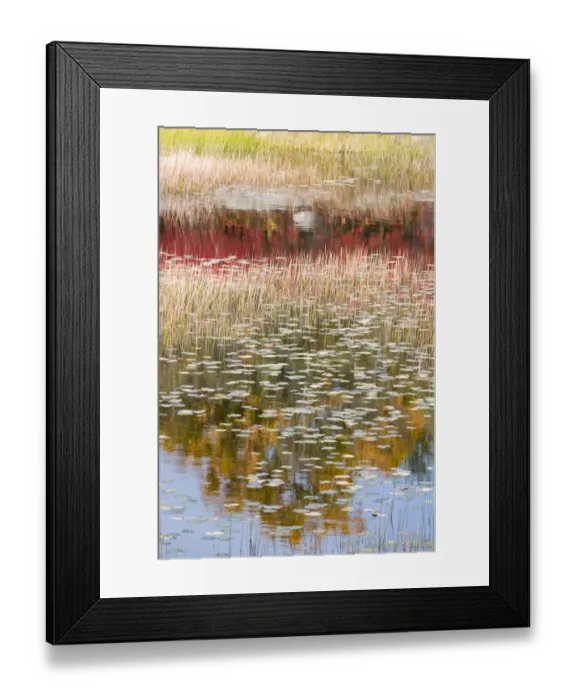 Framed Print : USA, Maine. New Mills Meadow Pond, Acadia National Park Framed Print : USA, Maine. New Mills Meadow Pond, Acadia National Park