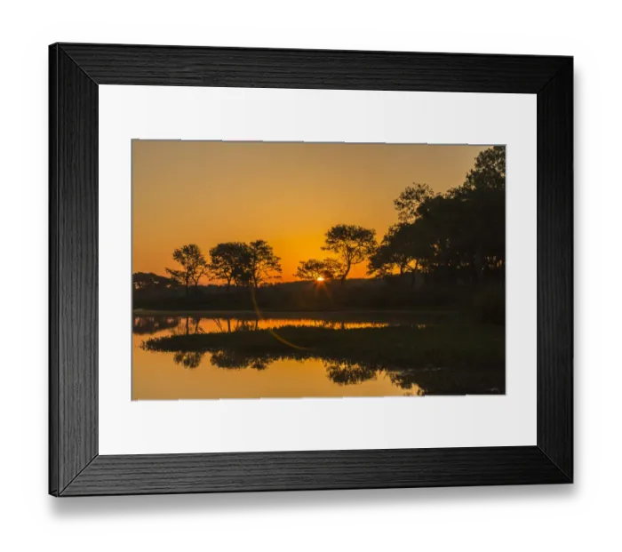 Framed Print : USA, Louisiana, Lake Martin. Sunrise on swamp Framed Print : USA, Louisiana, Lake Martin. Sunrise on swamp
