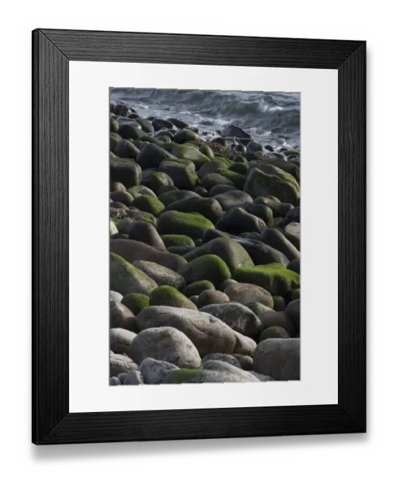 Framed Print : USA, Maine. Moss covered rocks and ocean, Boulder Beach, Acadia National Park