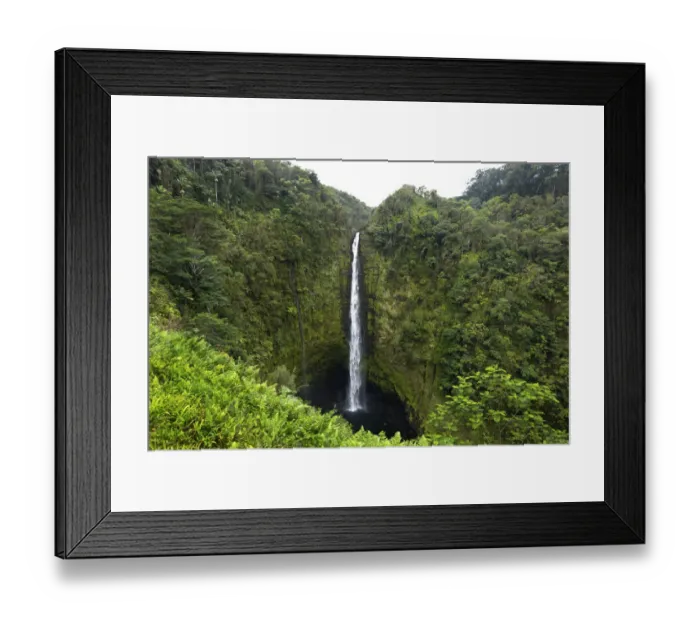 Framed Print : Akaka Falls, Hawaii, Big Island Framed Print : Akaka Falls, Hawaii, Big Island