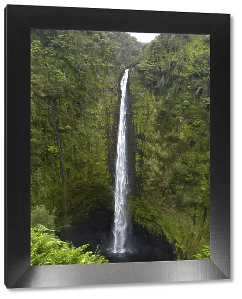 Akaka Falls, Hawaii, Big Island