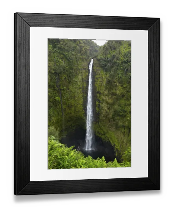 Framed Print : Akaka Falls, Hawaii, Big Island Framed Print : Akaka Falls, Hawaii, Big Island