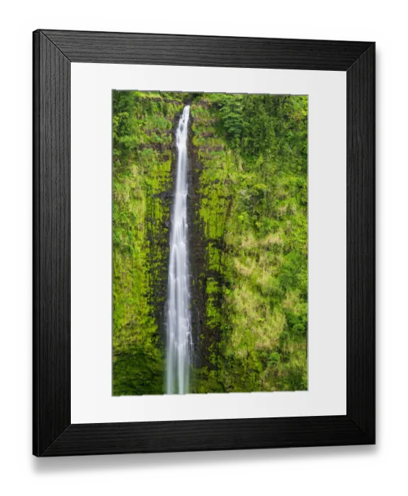 Framed Print : Akaka Falls, Akaka Falls State Park, Hamakua Coast, Big Island, Hawaii, USA