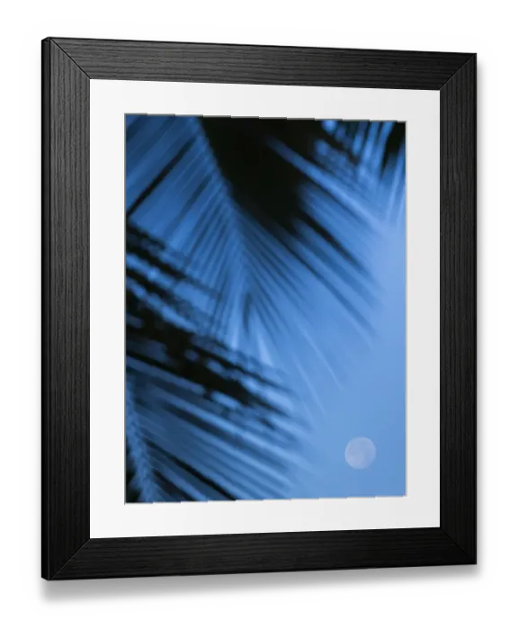 Framed Print : Supermoon along Hawaiian coast. Miloli i beach, Hawaii Framed Print : Supermoon along Hawaiian coast. Miloli i beach, Hawaii