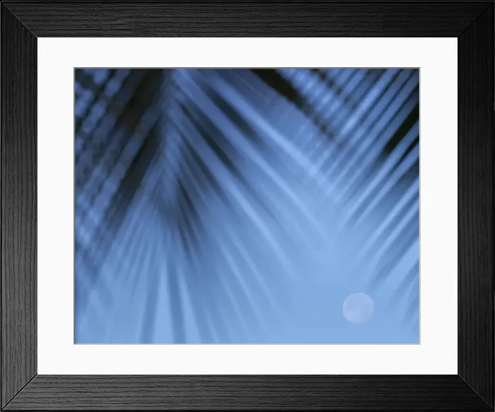 Framed Print : Supermoon along Hawaiian coast. Miloli i beach, Hawaii Framed Print : Supermoon along Hawaiian coast. Miloli i beach, Hawaii