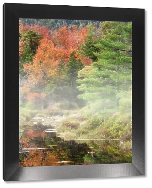 USA, New Hampshire, White Mountains. Autumn reflections in lake