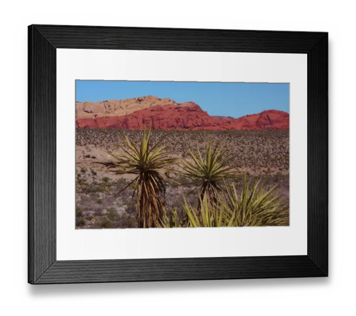 Framed Print : Soaptree yucca and Red Rock Canyon National Conservation Area, Nevada, USA Framed Print : Soaptree yucca and Red Rock Canyon National Conservation Area, Nevada, USA