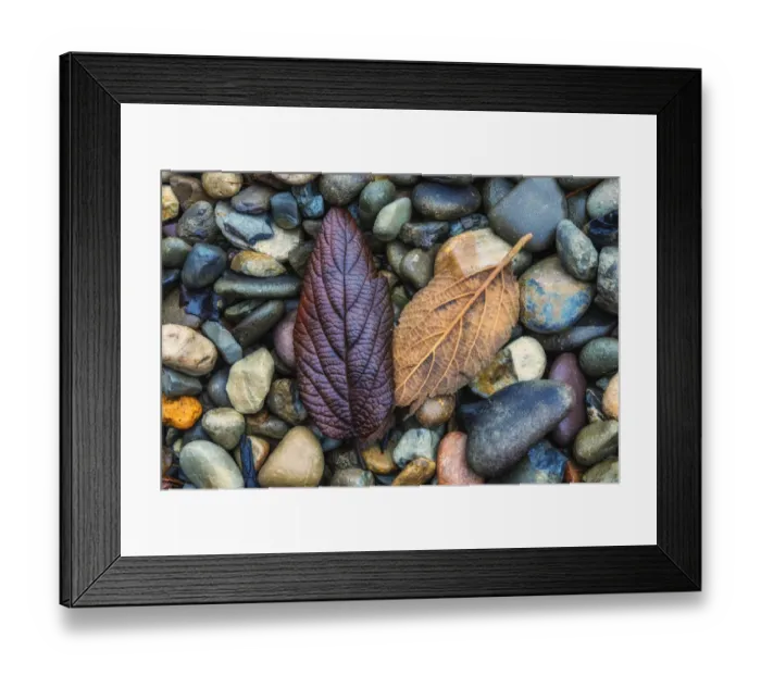 Framed Print : USA, New Jersey, Cape May National Seashore