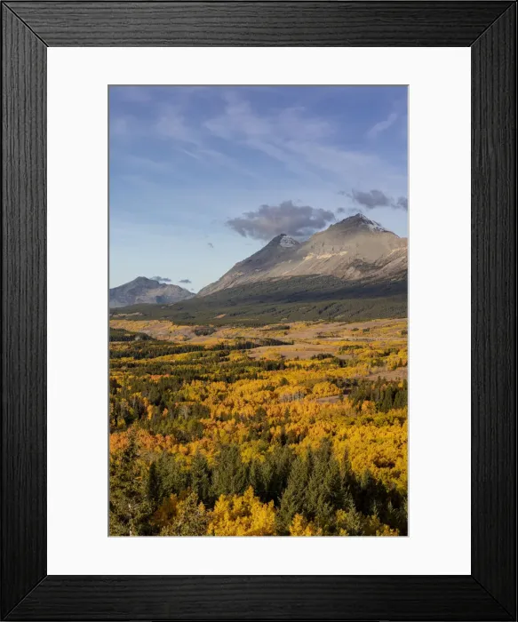 Framed Print : Peak fall color at Marias Pass in Glacier National Park, Montana, USA Framed Print : Peak fall color at Marias Pass in Glacier National Park, Montana, USA