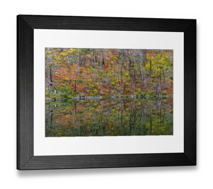 Framed Print : Autumn colors reflecting into Lost Lake in Glacier National Park, Montana, USA Framed Print : Autumn colors reflecting into Lost Lake in Glacier National Park, Montana, USA