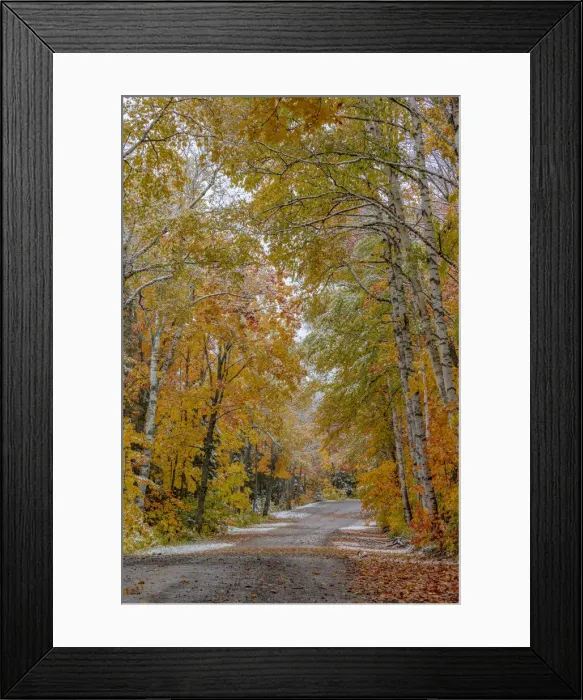 Framed Print : Light snowfall on Wyoming Road near Copper Harbor in the Upper Peninsula of Michigan, USA Framed Print : Light snowfall on Wyoming Road near Copper Harbor in the Upper Peninsula of Michigan, USA