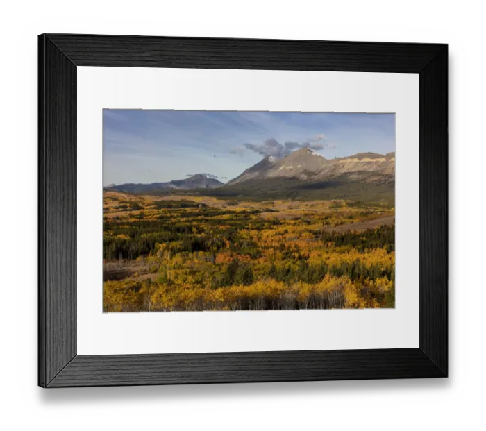 Framed Print : Peak fall color at Marias Pass in Glacier National Park, Montana, USA